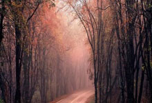 谢菲联客场爆冷，取得惊人胜利