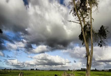 谢菲联客场爆冷，取得惊人胜利